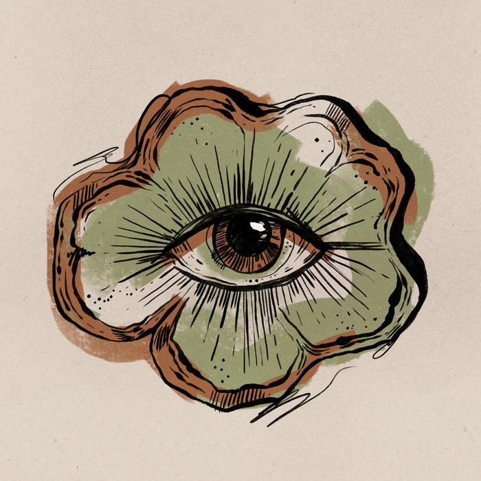 The Visionary Plant Medicine; Ayahuasca