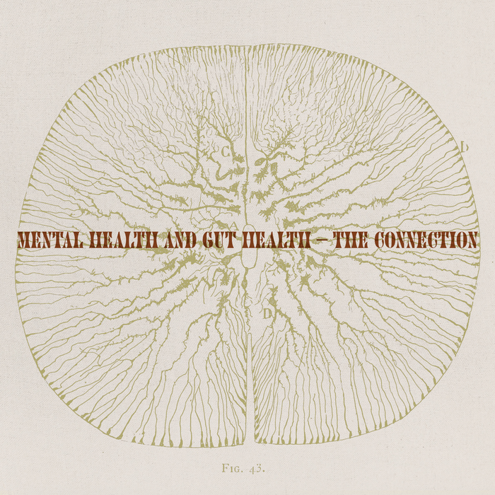 Mental Health and Gut Health – The Connection